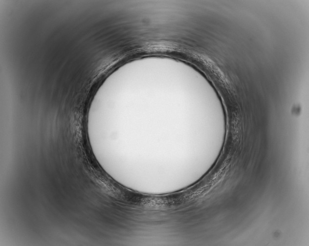 X0000103471217200810031513