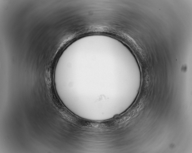 X0000103471218200810031513