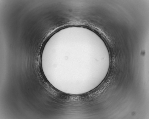 X0000103471220200810031513