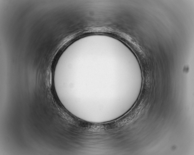 X0000103471221200810031513