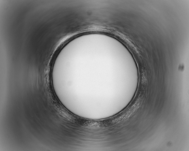 X0000103471222200810031513