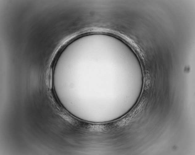 X0000103471223200810031513