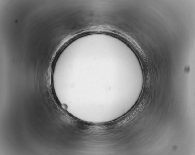 X0000103471224200810031513