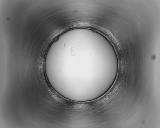 X0000103471225200810031513