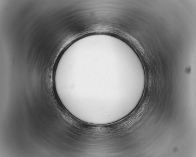 X0000103471226200810031513