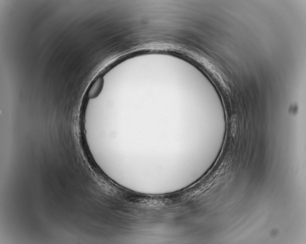 X0000103471229200810031513