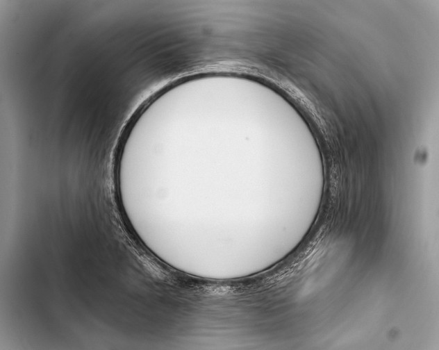 X0000103471230200810031513