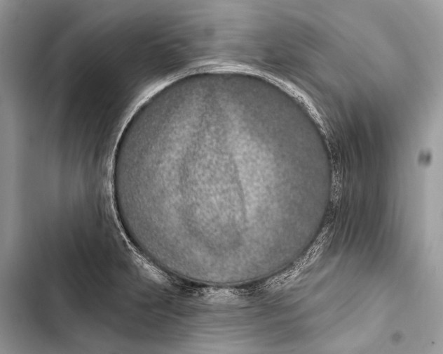 X0000103471231200810031513