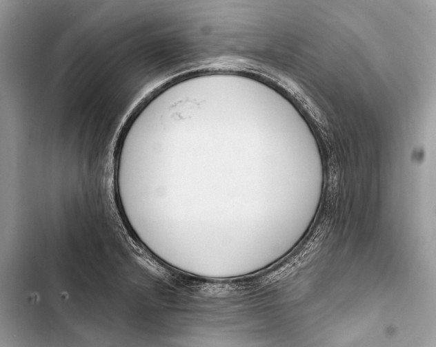 X0000103471232200810031513