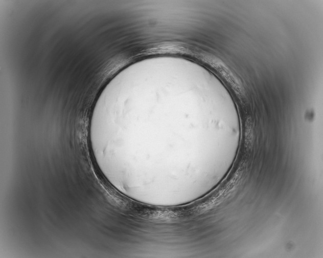 X0000103471233200810031513