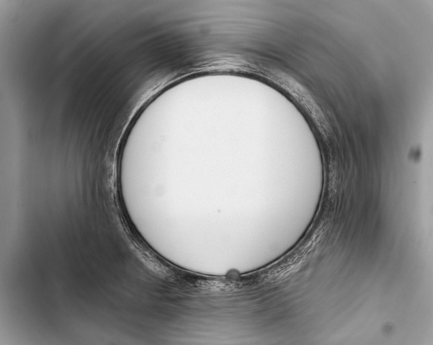 X0000103471234200810031513