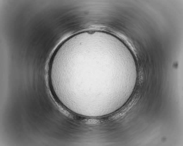 X0000103471235200810031513