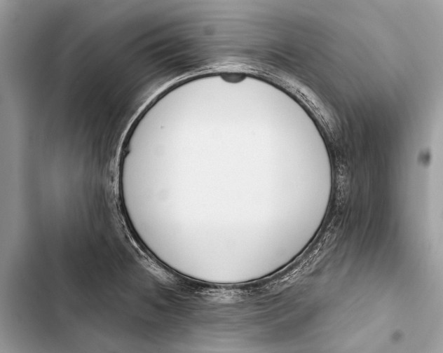 X0000103471236200810031513