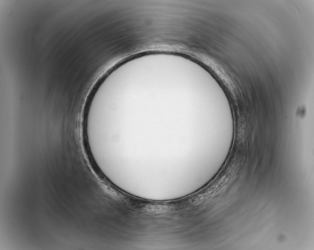 X0000103471237200810031513