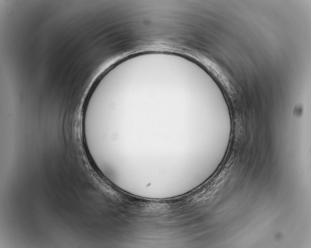 X0000103471238200810031513