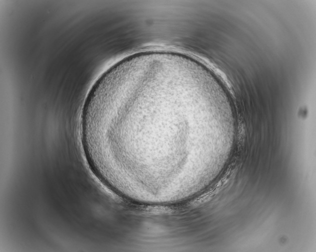 X0000103471239200810031513