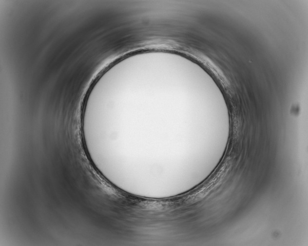 X0000103471240200810031513