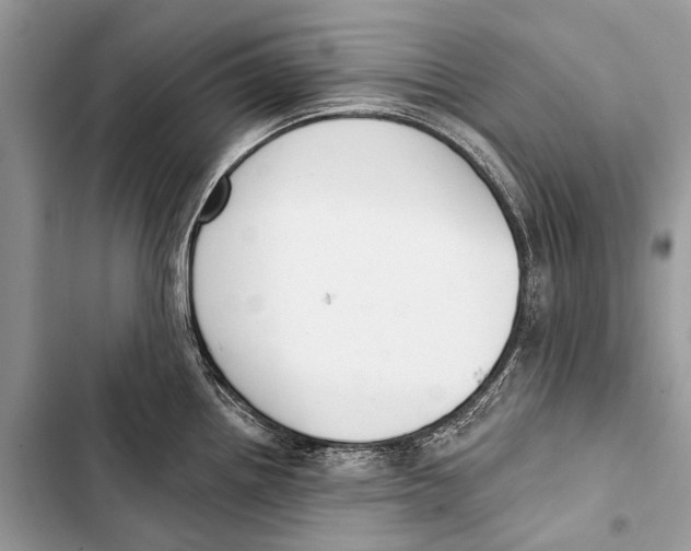 X0000103471242200810031513