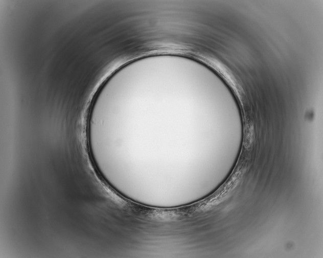 X0000103471243200810031513