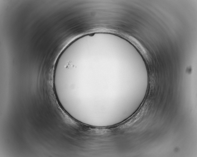 X0000103471244200810031513