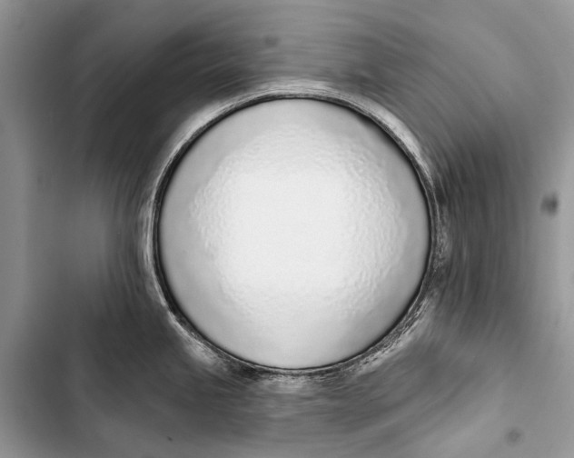 X0000103471245200810031513