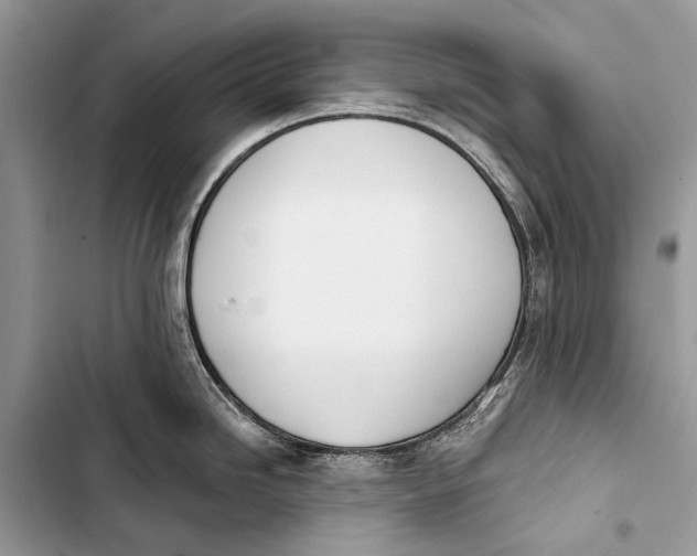 X0000103471246200810031513