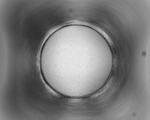 X0000103471247200810031513