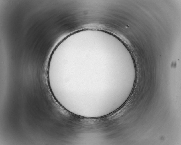 X0000103471248200810031513