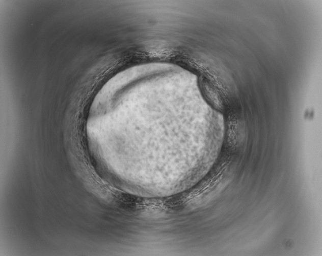 X0000103471249200810031512