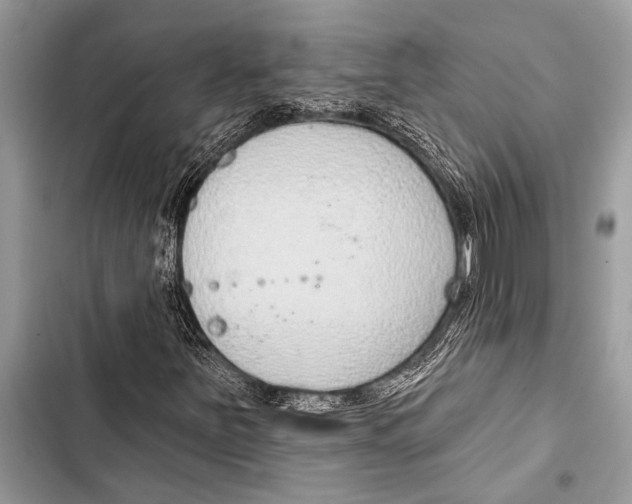 X0000103471251200810031512