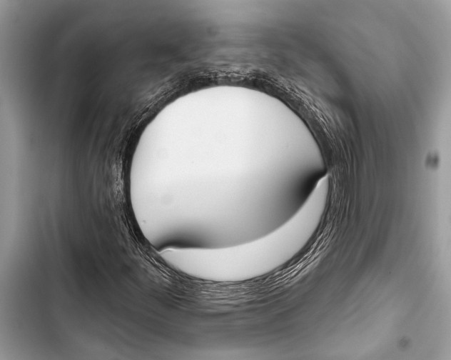 X0000103471252200810031512