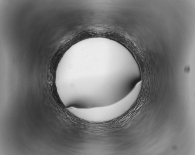 X0000103471253200810031512