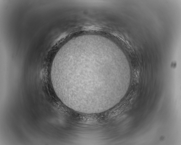 X0000103471254200810031512