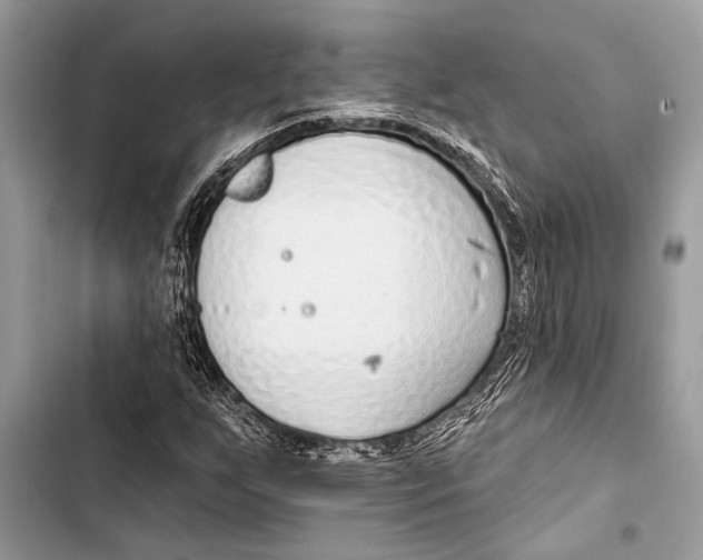 X0000103471255200810031512