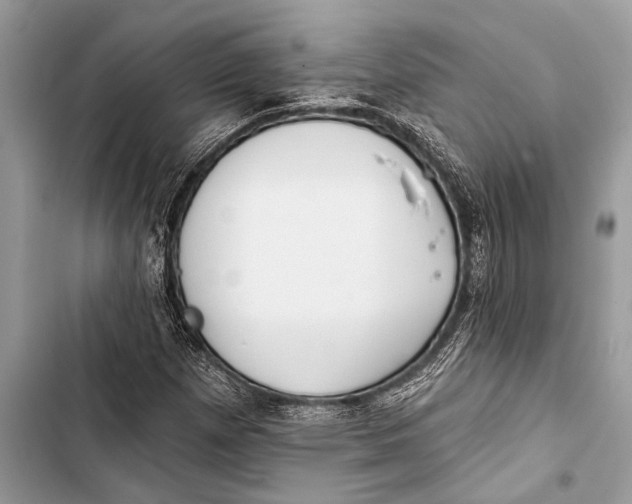 X0000103471257200810031512