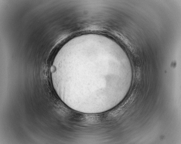 X0000103471258200810031512