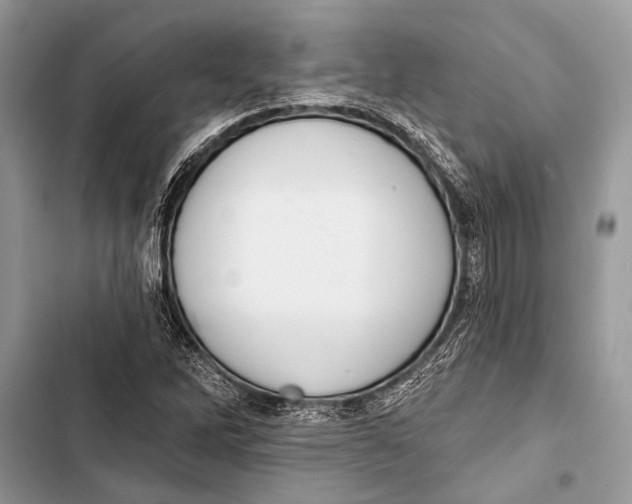 X0000103471262200810031512