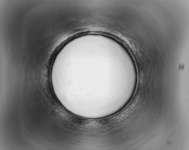 X0000103471263200810031512