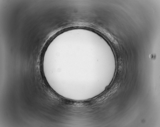 X0000103471264200810031512