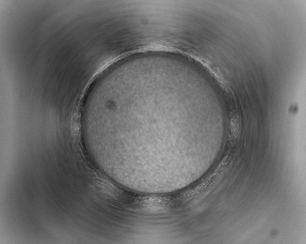 X0000103471266200810031512