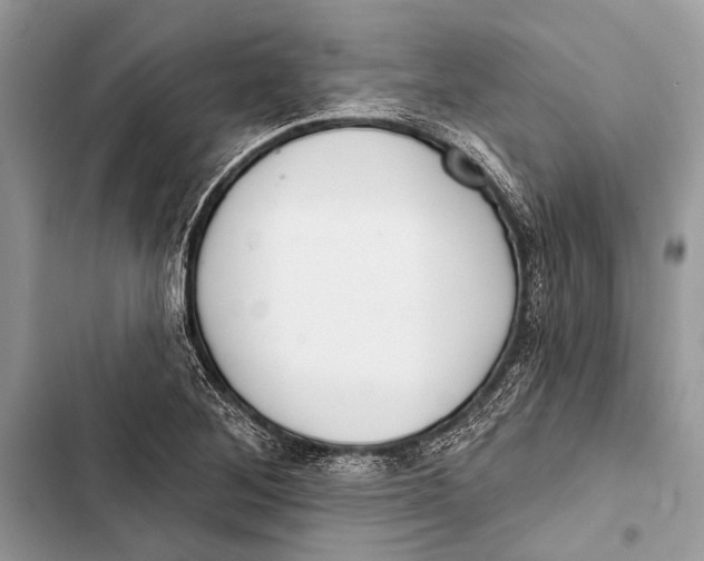 X0000103471268200810031512