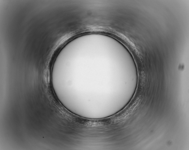 X0000103471269200810031512