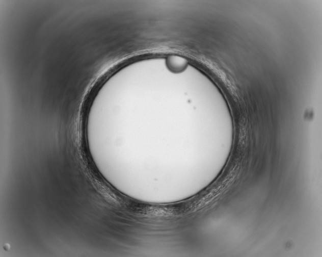 X0000103471270200810031512