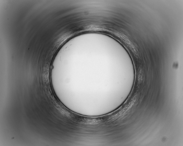 X0000103471273200810031512