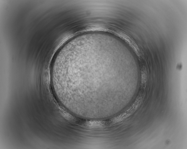 X0000103471274200810031512