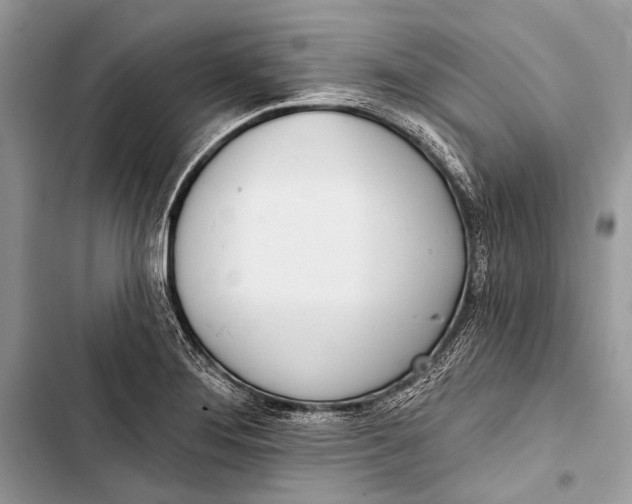 X0000103471276200810031512