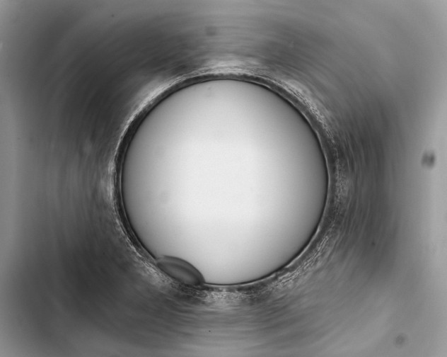 X0000103471277200810031512