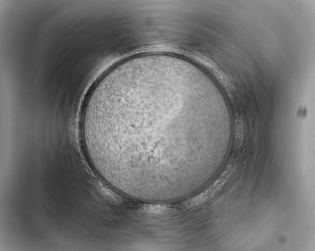 X0000103471278200810031512