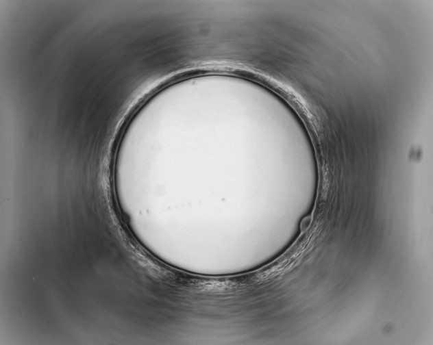 X0000103471279200810031512