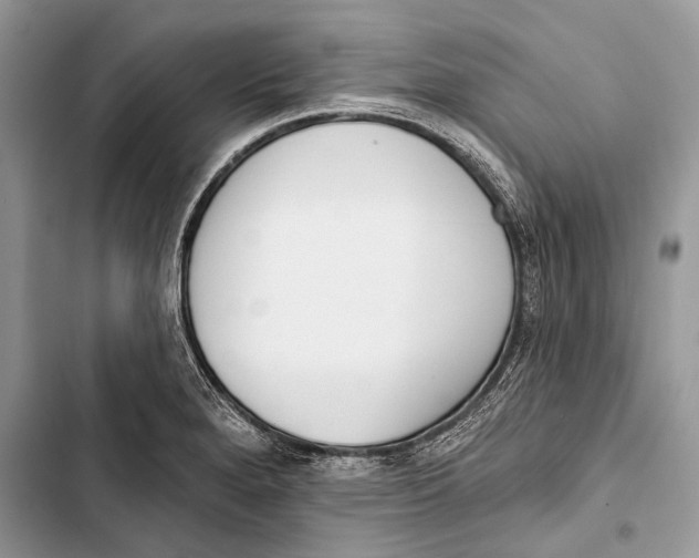 X0000103471280200810031512